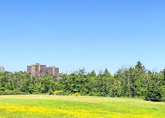 Apartment Butterblume - B808 By Interhome *